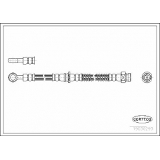 19030293 CORTECO Тормозной шланг