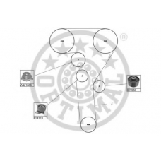 SK-1361AQ1 OPTIMAL Водяной насос + комплект зубчатого ремня