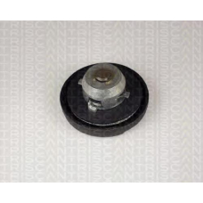 8800 2012 TRIDON Petrol cap