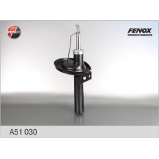 A51030 FENOX Амортизатор