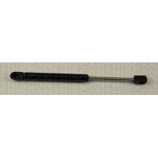 8710 29241 TRIDON Gas spring rear