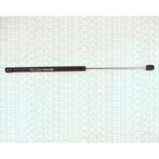 8710 25215 TRIDON Gas spring rear