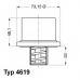 4619.86 WAHLER Термостат, охлаждающая жидкость