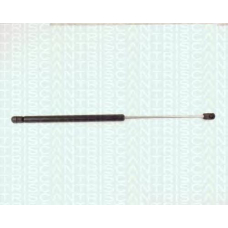 8710 1607 TRIDON Gas spring rear