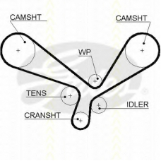 8645 5557xs TRISCAN Ремень ГРМ