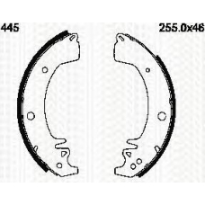 8100 25445 TRIDON Brake shoes