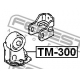 TM-300<br />FEBEST