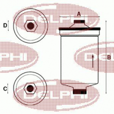 FF0036 DELPHI 