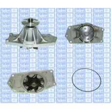 PA1174 Saleri SIL Водяной насос