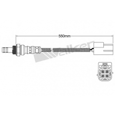 250-241097 WALKER Лямбда-зонд