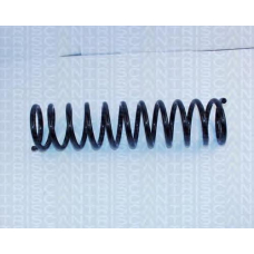 8750 2958 TRIDON Coil spring rear