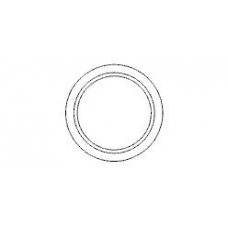 498746 ERNST Уплотнительное кольцо, труба выхлопного газа