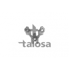 57-00389 TALOSA Стопорная пластина, несущие / нап
