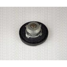 8800 4031 TRIDON Petrol cap