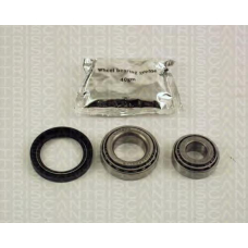 8530 42001 TRIDON Wheel bearing kit