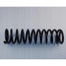 8750 2906 TRIDON Coil spring rear