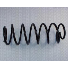 8750 2925 TRIDON Coil spring front