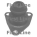 FEM3062 FIRST LINE Подвеска, двигатель