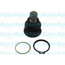 SBJ-6541 KAVO PARTS Несущий / направляющий шарнир