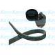 DKM-6501<br />KAVO PARTS