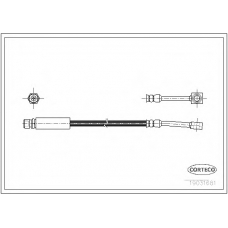 19031681 CORTECO Тормозной шланг