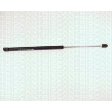 8710 24202 TRIDON Gas spring rear