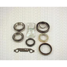 8530 23202 TRIDON Wheel bearing kit