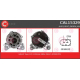 CAL15329<br />CASCO