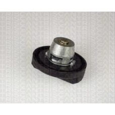 8800 2001 TRIDON Petrol cap