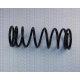 8750 5025 TRIDON Coil spring rear