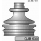 QJB539