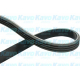 DMV-9016<br />KAVO PARTS