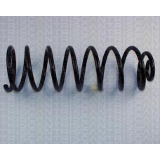 8750 2736 TRIDON Coil spring rear