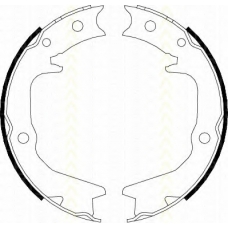 8100 42016 TRISCAN Комплект тормозных колодок, стояночная тормозная с