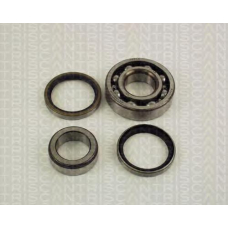 8530 41203 TRIDON Wheel bearing kit