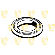 166010 UNIGOM Стопорное кольцо, глушитель