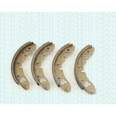 8100 17003 TRIDON Brake shoes