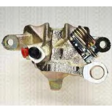 8170 29507 TRIDON Caliper left back