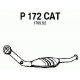 P172CAT