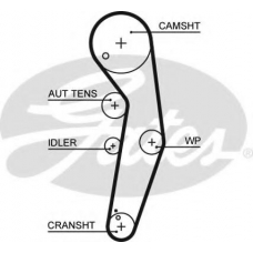 5569XS GATES Ремень ГРМ