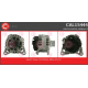 CAL15444<br />CASCO