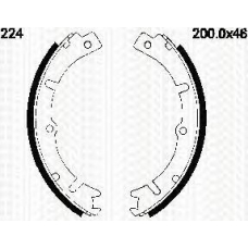 8100 24224 TRIDON Brake shoes, front