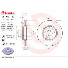 BS 8951 BRECO Тормозной диск
