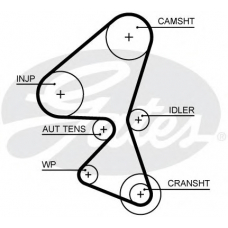 5656XS GATES Ремень ГРМ