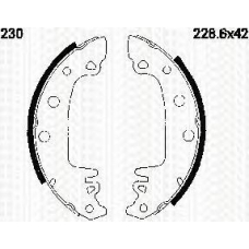 8100 10520 TRIDON Brake shoes