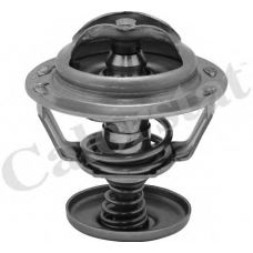 TH6838.82J CALORSTAT by Vernet Термостат, охлаждающая жидкость