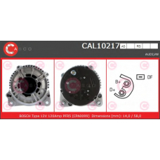 CAL10217RS CASCO Генератор