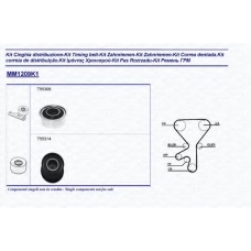 341312091101 MAGNETI MARELLI Комплект ремня грм