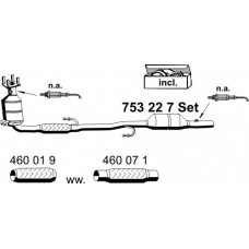 753227 ERNST Катализатор