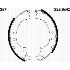 8100 10257 TRIDON Brake shoes